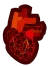 Congenital Heart Disease 