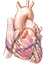 Coronary Artery Disease